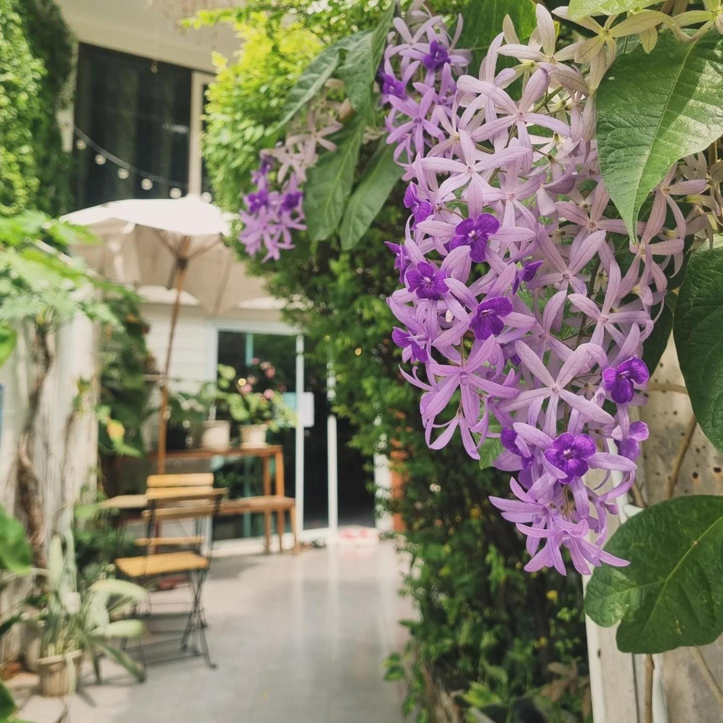 Home16 Sukhumvit16 Bangkok Exteriör bild